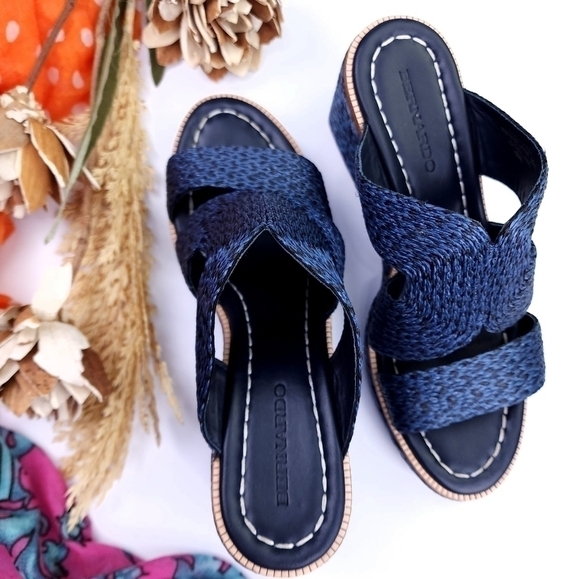 Bernardo Luxury Brand Blue Platform Wedge Sz 7m - Picture 2 of 10